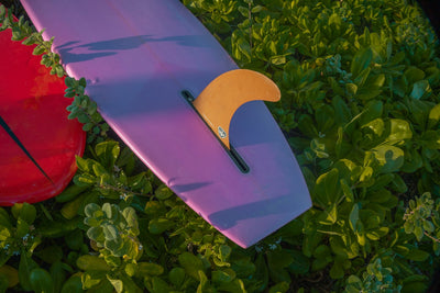 Have SurfBoard; Will Travel.