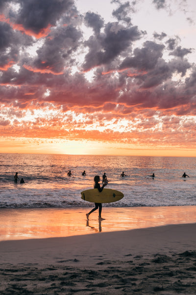 Surfing Gains Popularity During the Pandemic
